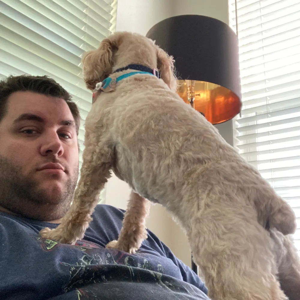 goodoleandre.bsky.social's profile picture