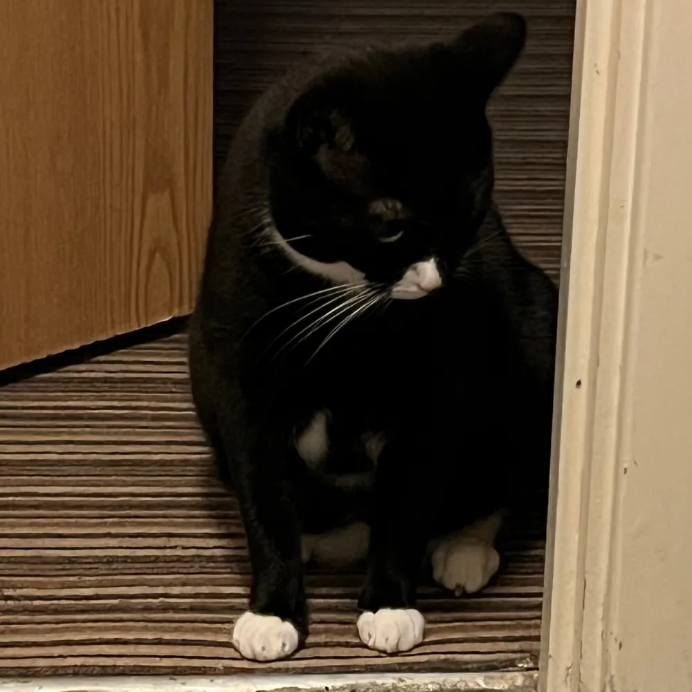 arnie.bsky.social's profile picture