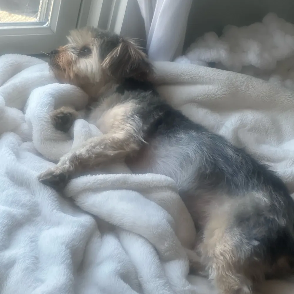 theviolenceoftruth.bsky.social's profile picture