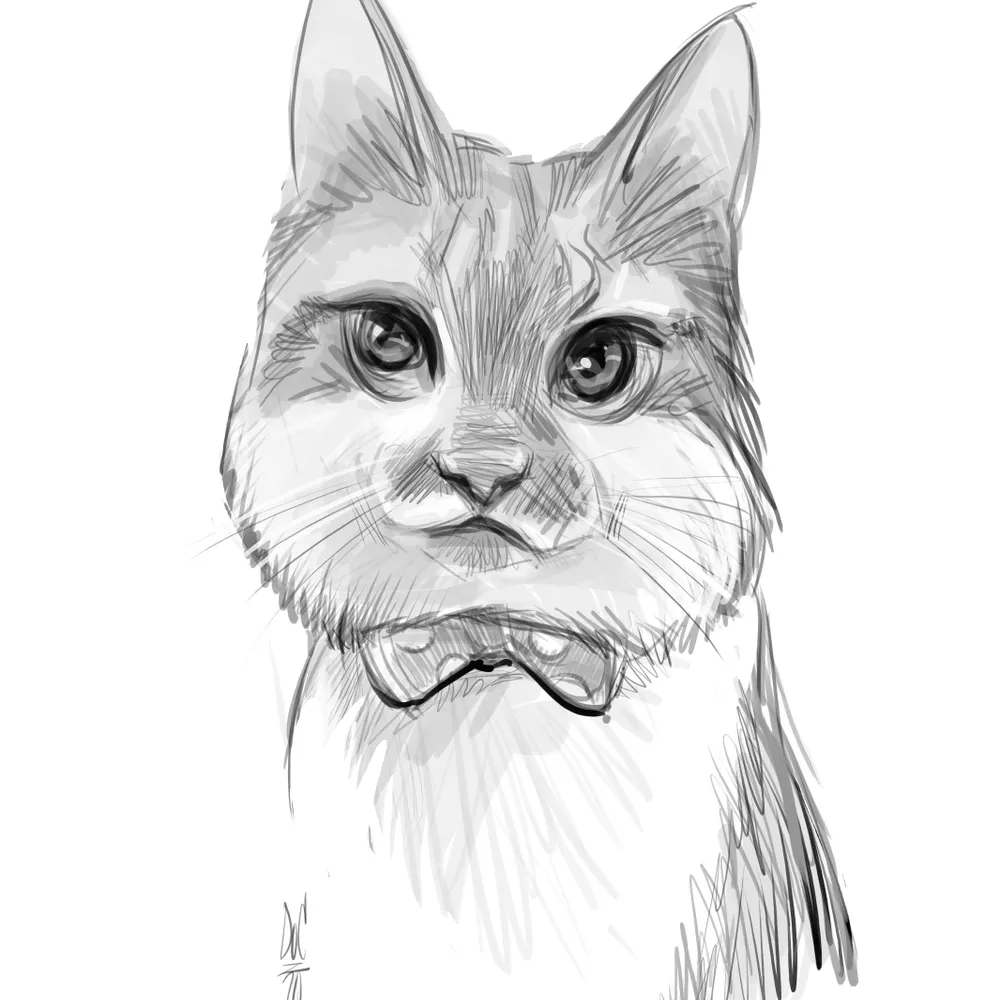 vanillabn.bsky.social's profile picture