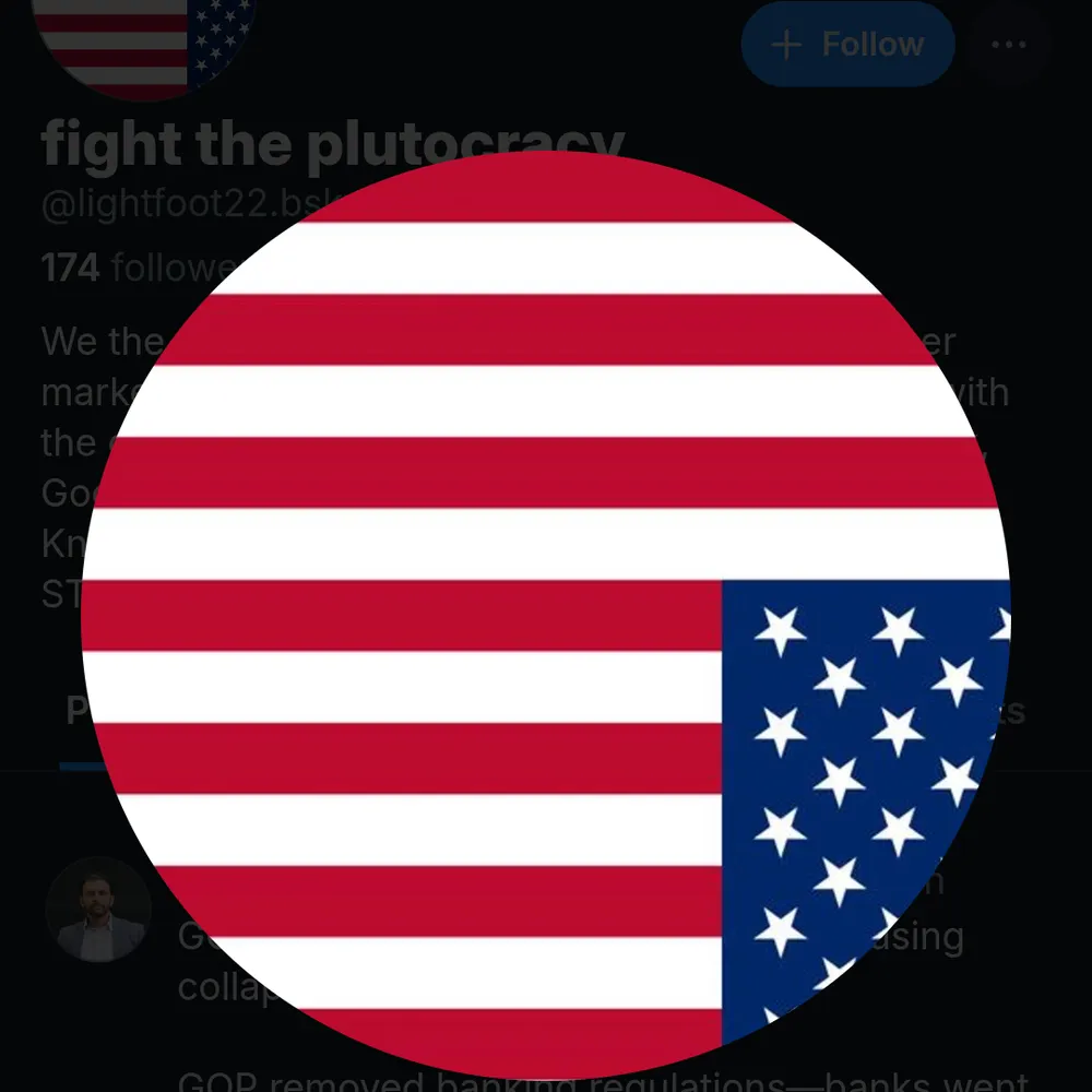 sameraii.bsky.social's profile picture