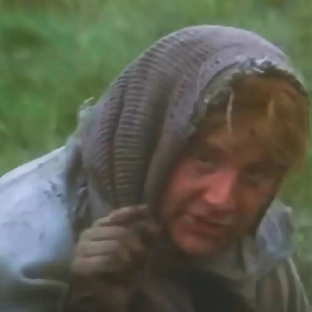 arch-villein.bsky.social's profile picture