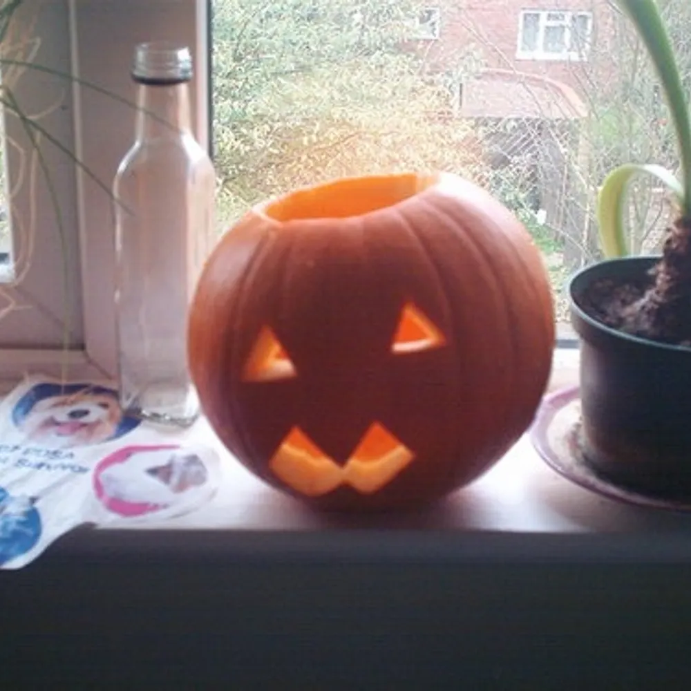 ksej.bsky.social's profile picture