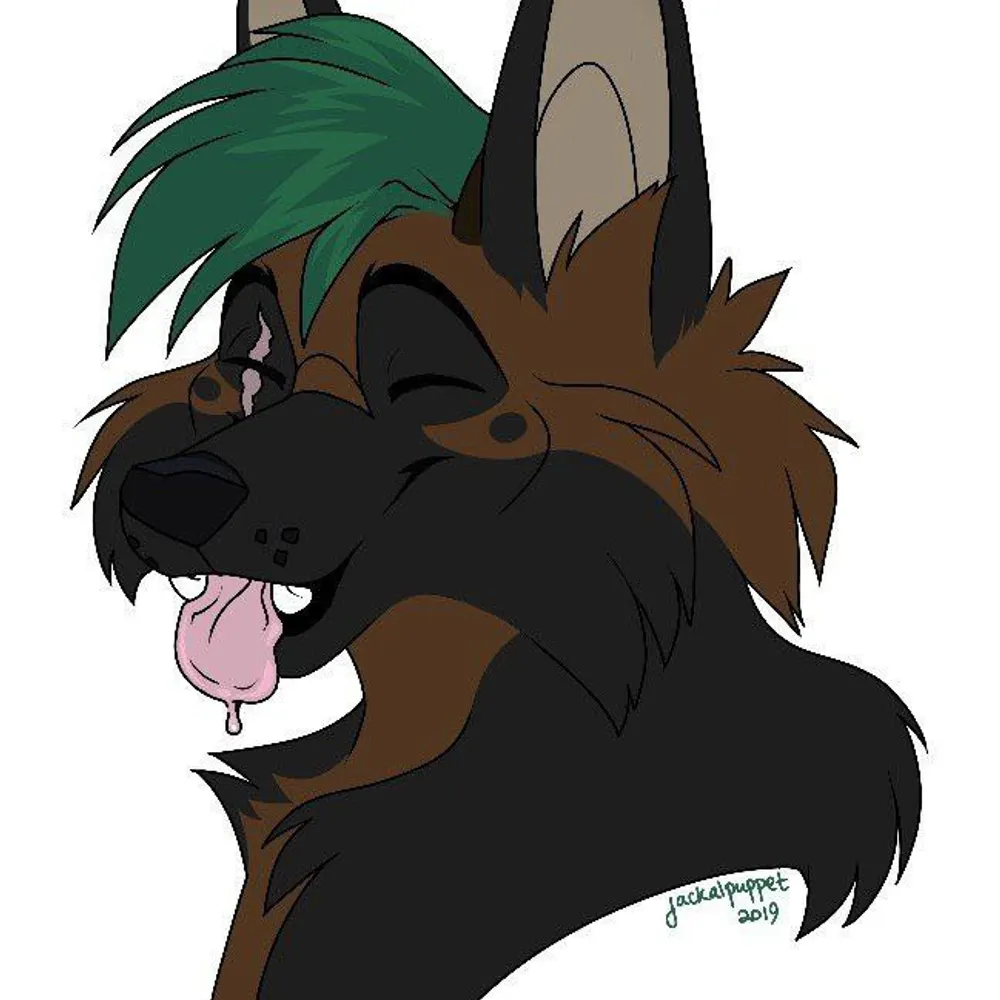 robbpepperwolfe.bsky.social's profile picture