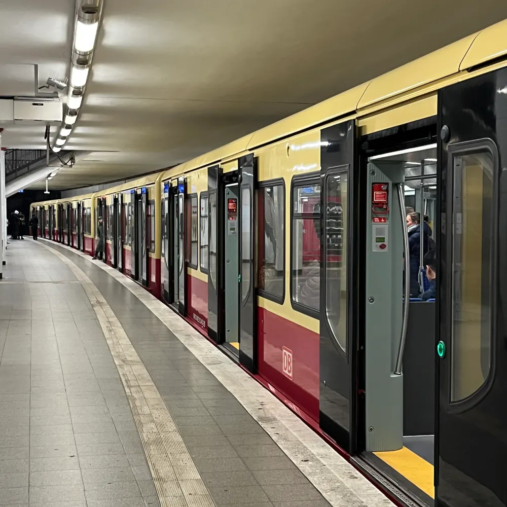 timrb60.bsky.social's profile picture