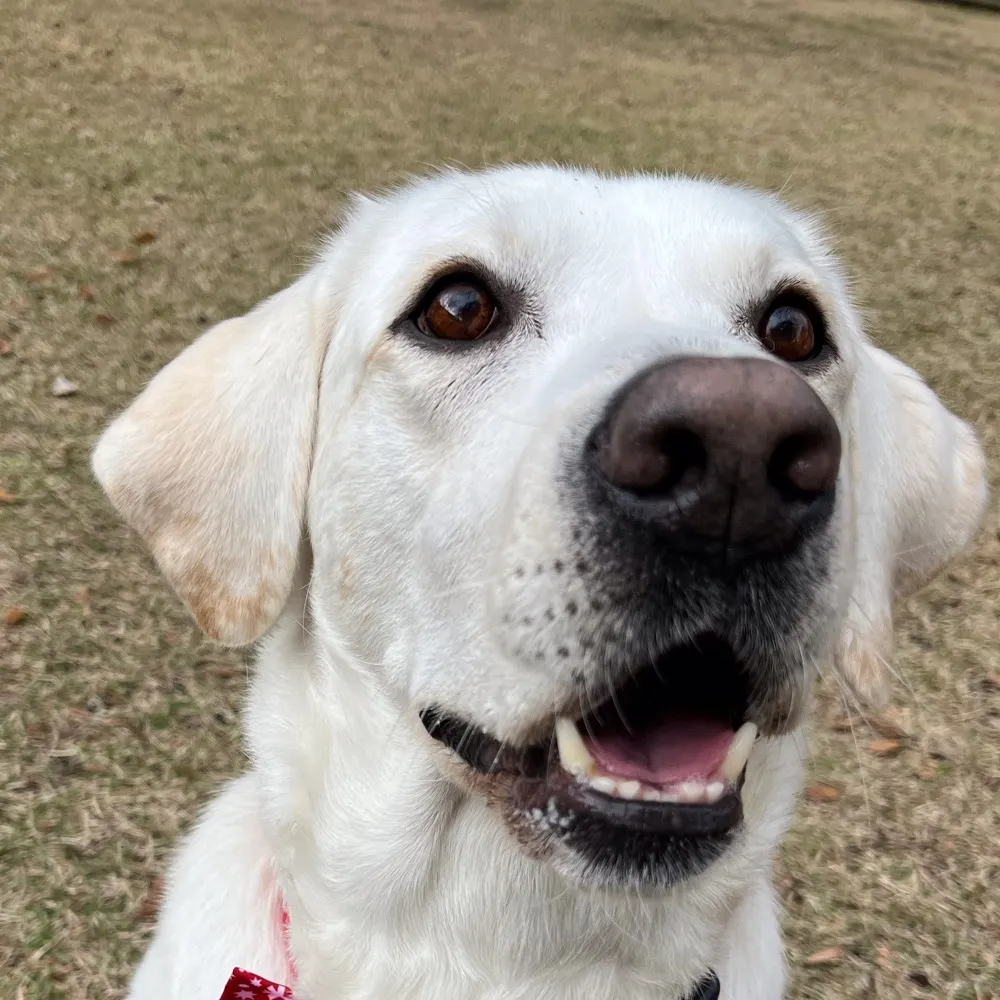 eightmjc.bsky.social's profile picture