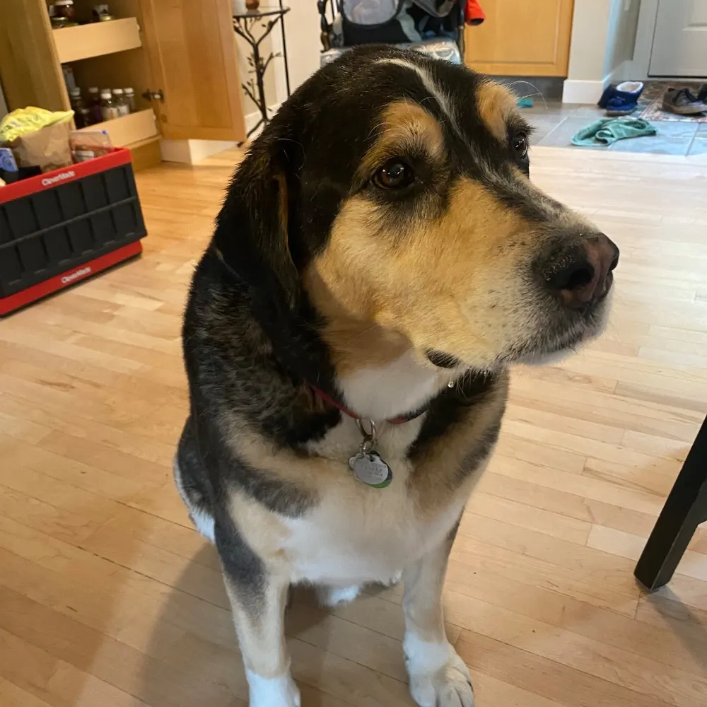 rollforphobia.bsky.social's profile picture