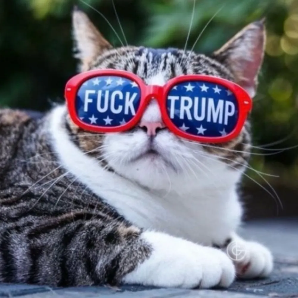 0-me-0.bsky.social's profile picture