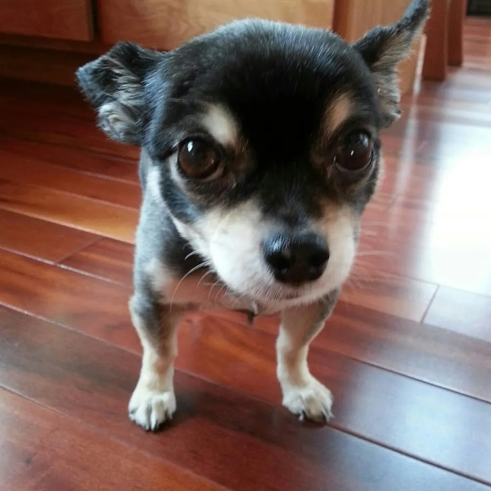 lckwd.bsky.social's profile picture