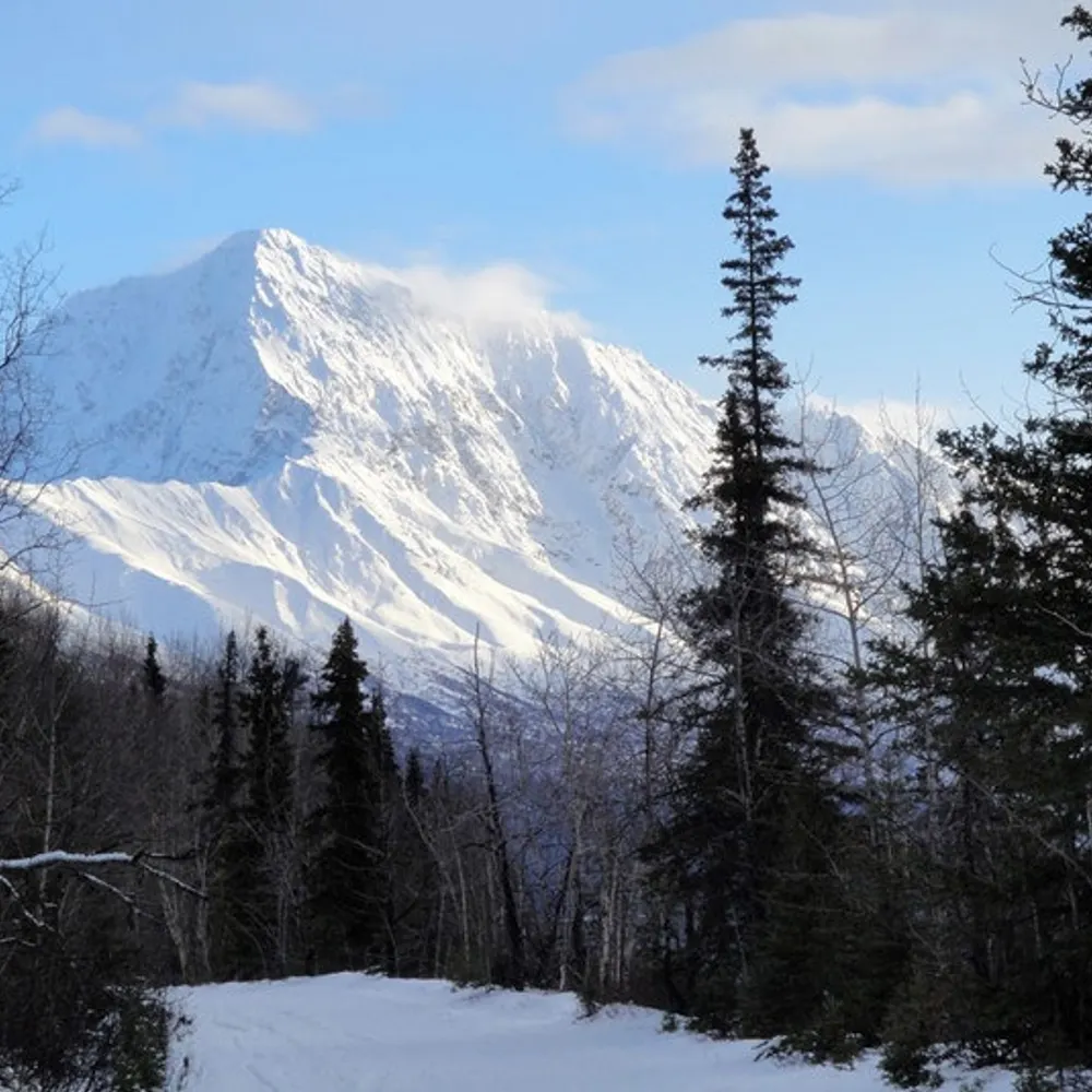 angelnorth2.bsky.social's profile picture