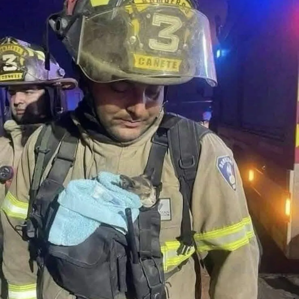 99silver.bsky.social's profile picture