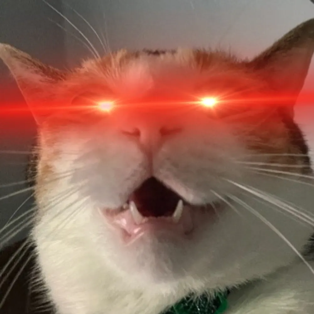 greatlakeri.bsky.social's profile picture