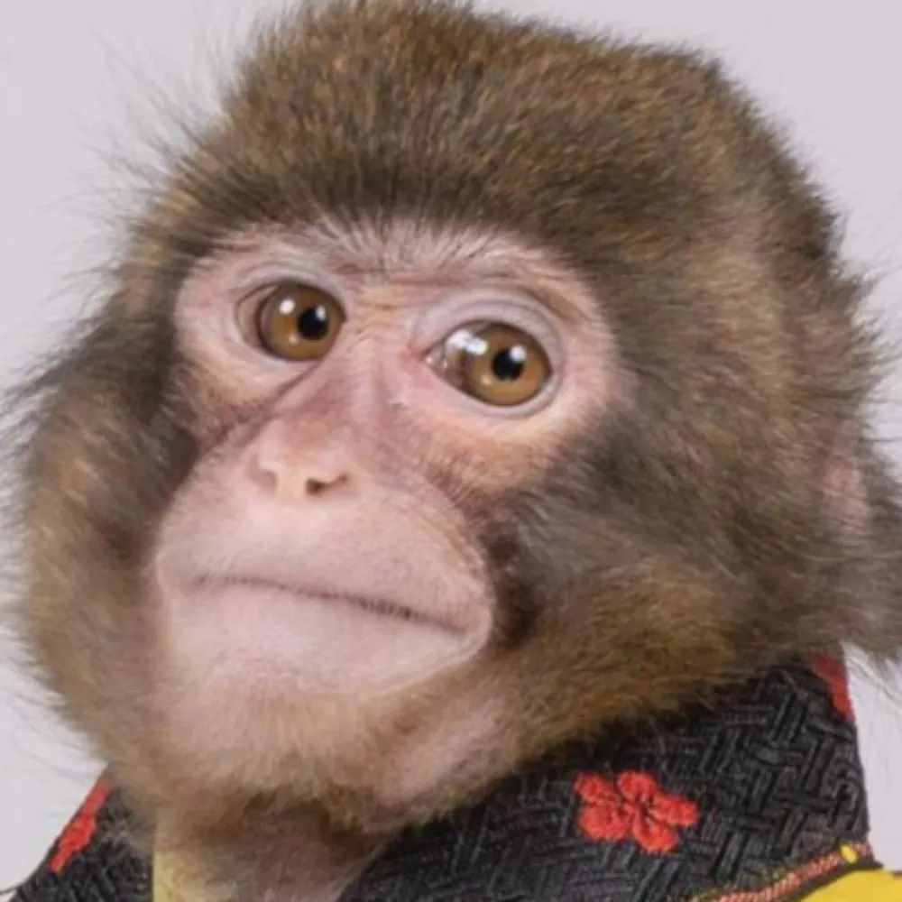 jonobennett.eurosky.social's profile picture