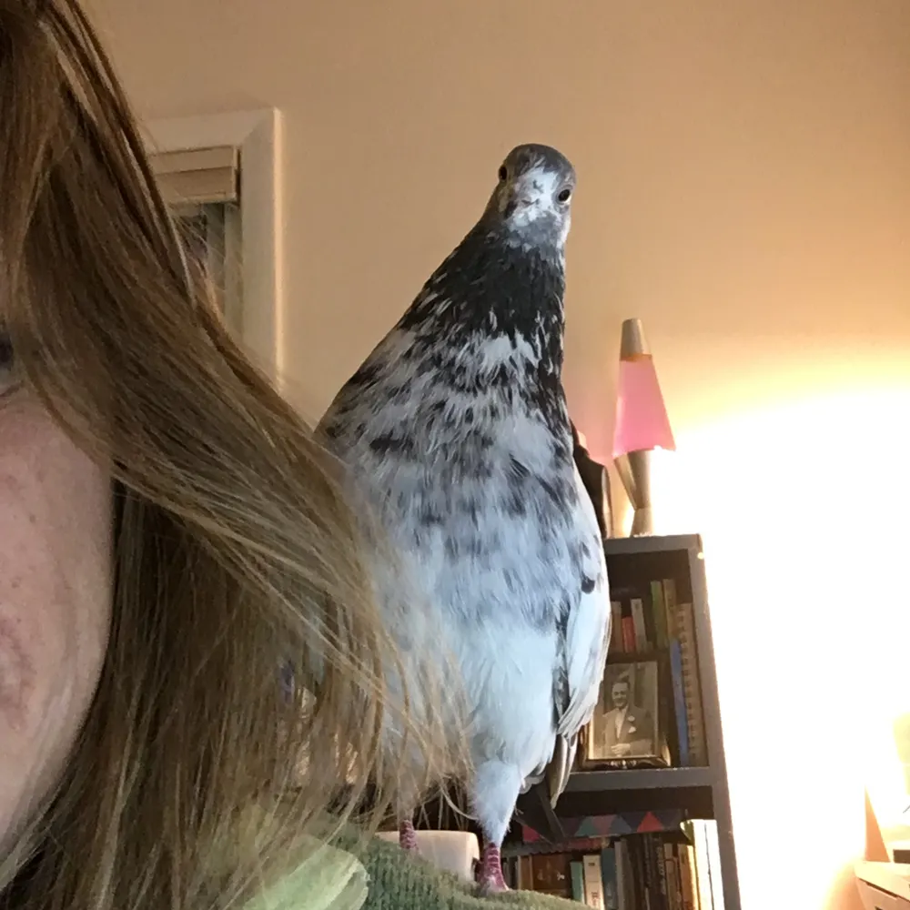 seasunal.bsky.social's profile picture