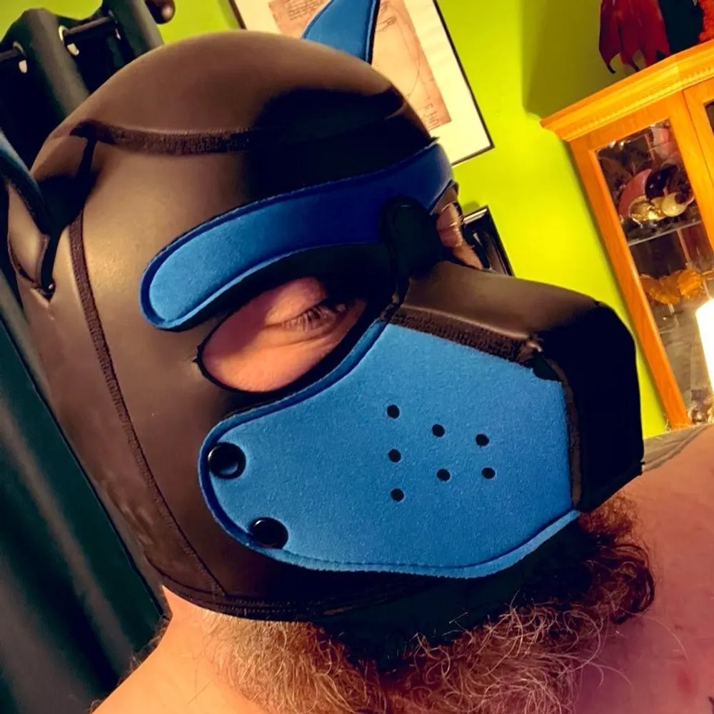 cubbybear524.bsky.social's profile picture