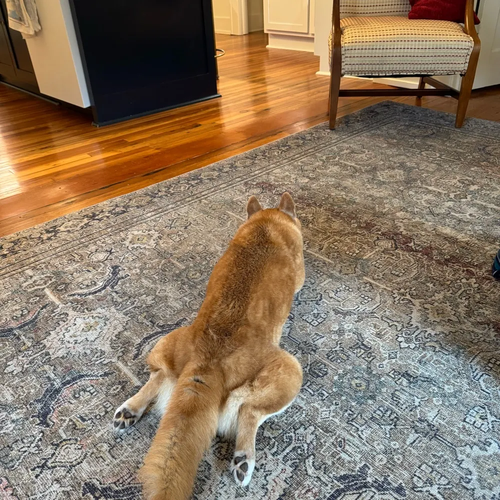 bbhoss.io's profile picture