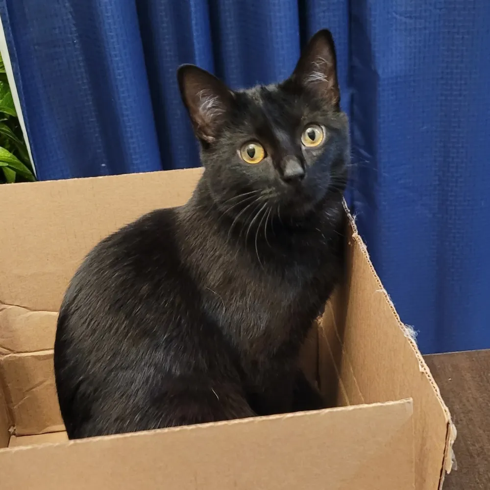 mistolsmama.bsky.social's profile picture