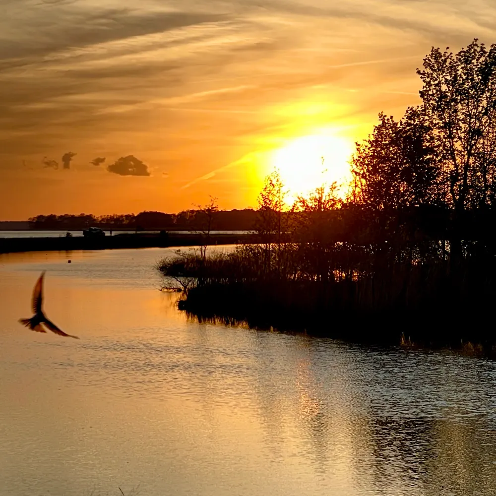 4aamari.bsky.social's profile picture