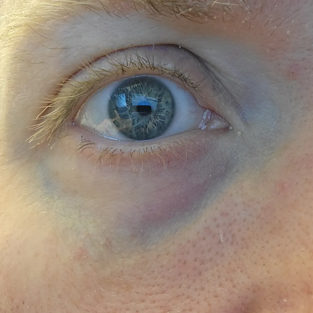 wimmerben.bsky.social's profile picture