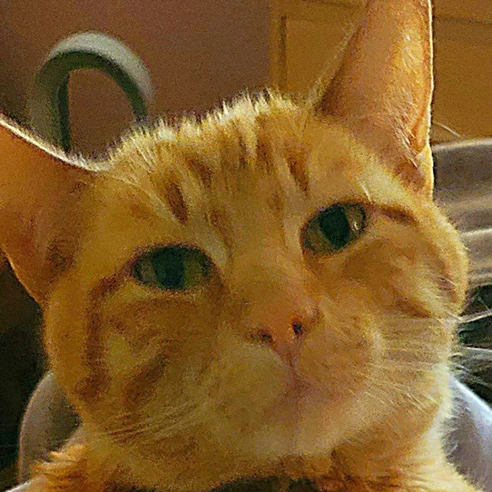 sparklebluebunny.bsky.social's profile picture