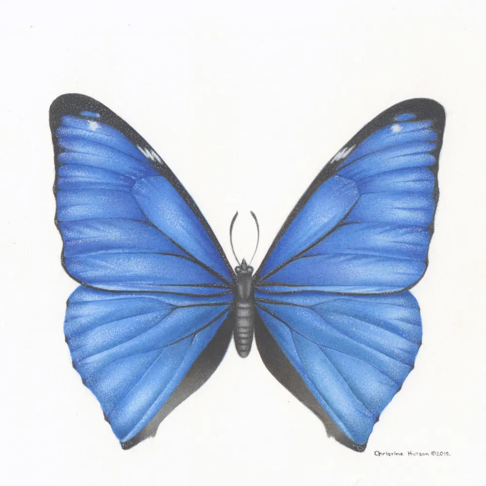 buglady.bsky.social's profile picture