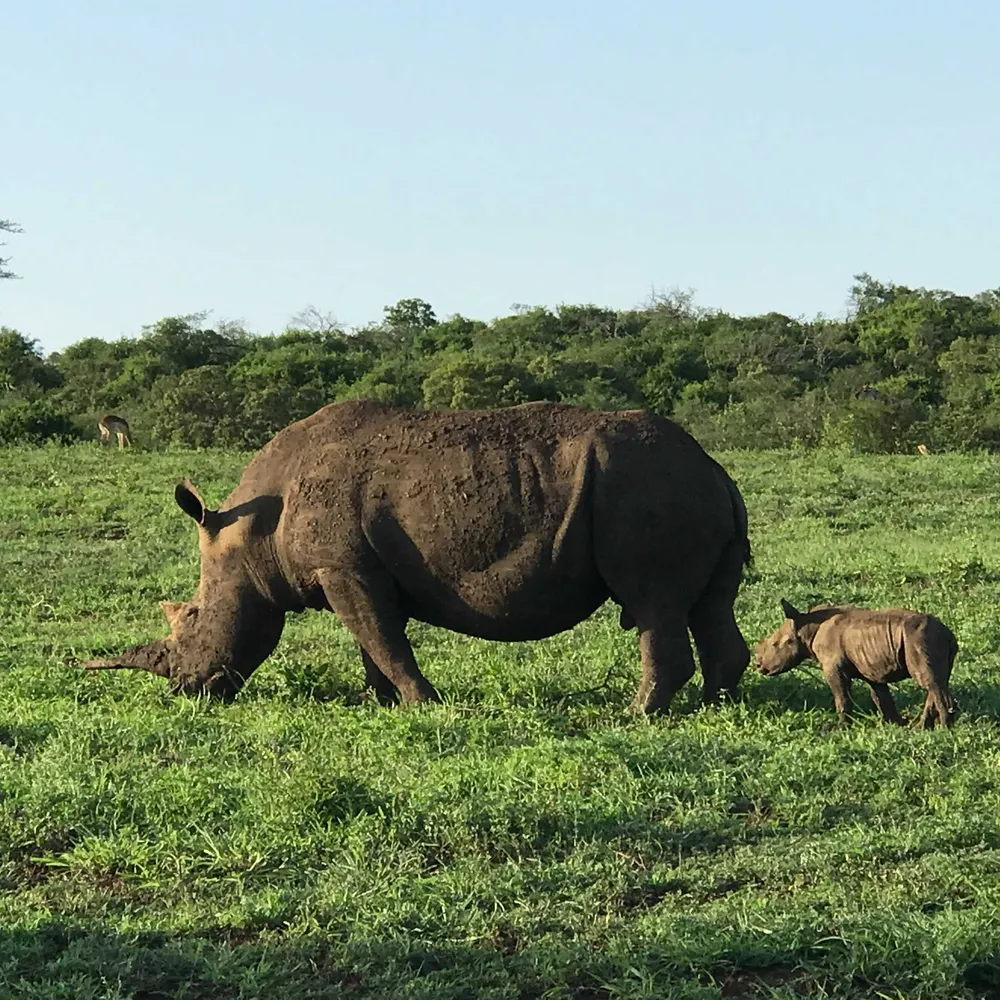 randomcurious.bsky.social's profile picture