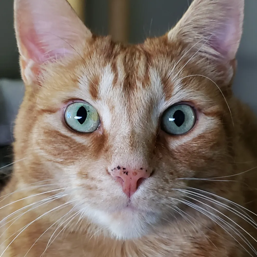 liftforever67.bsky.social's profile picture