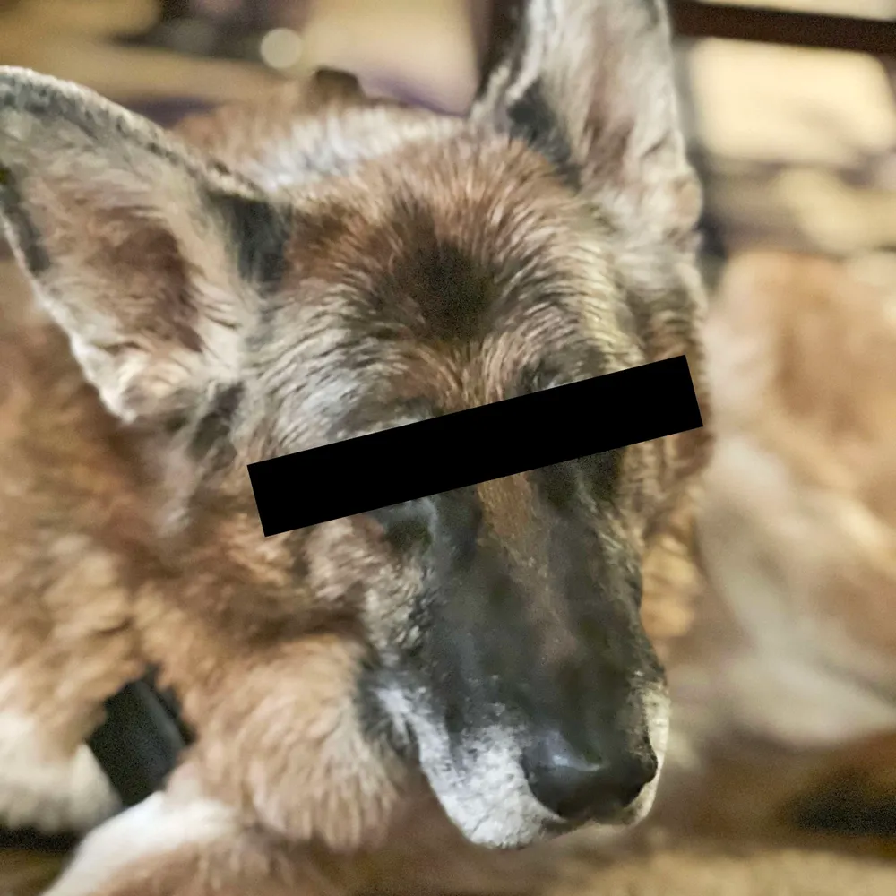 randysutra.bsky.social's profile picture