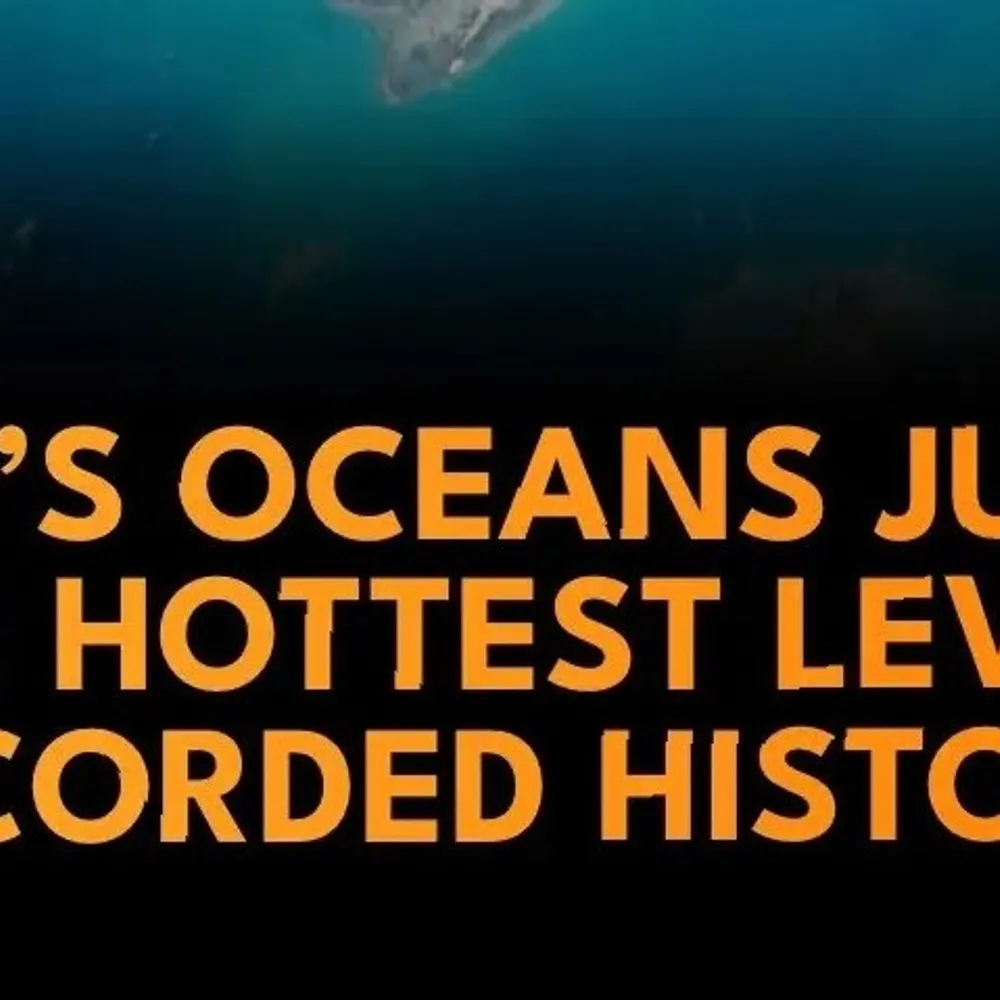 danieljarthur.bsky.social's profile picture