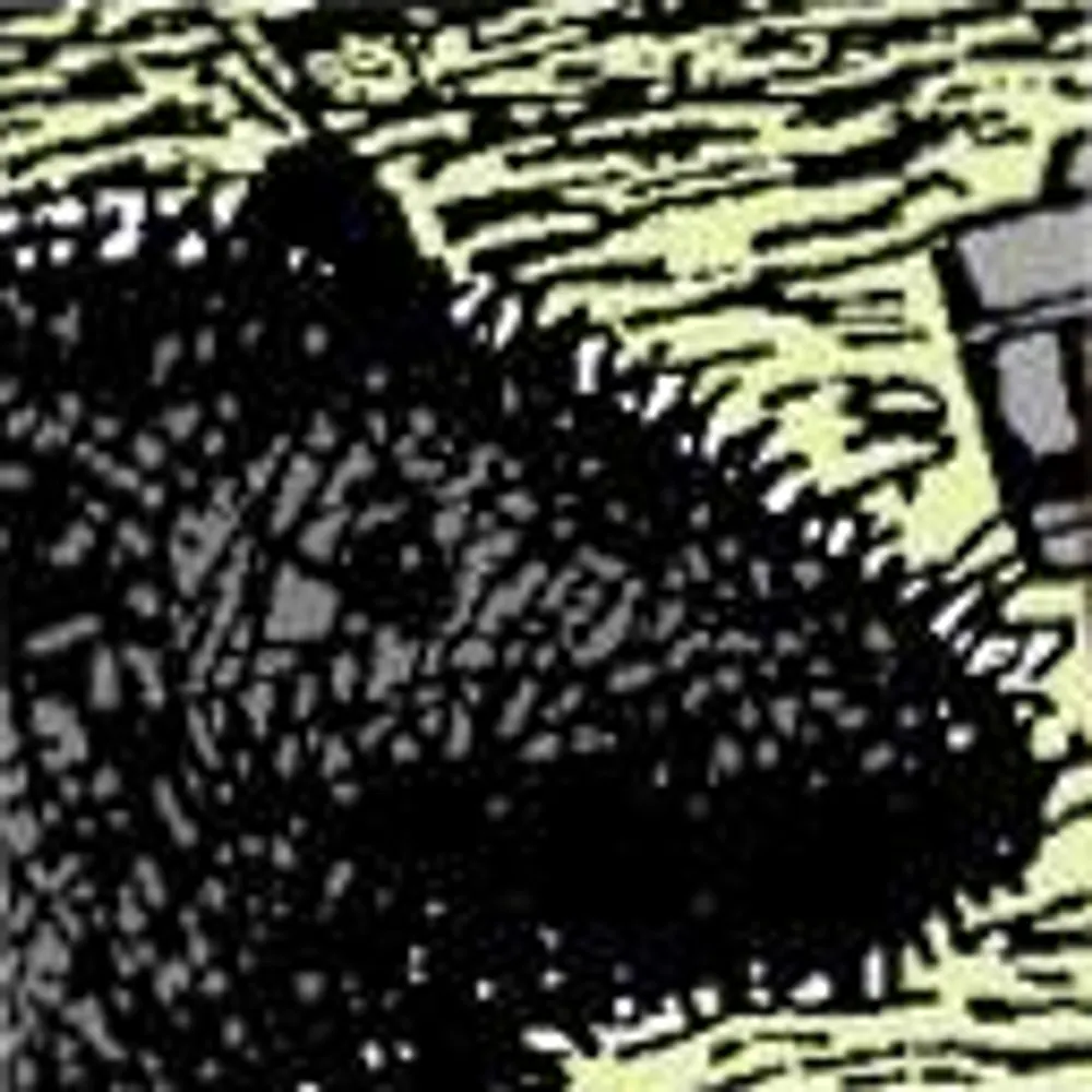 alexashpool.bsky.social's profile picture