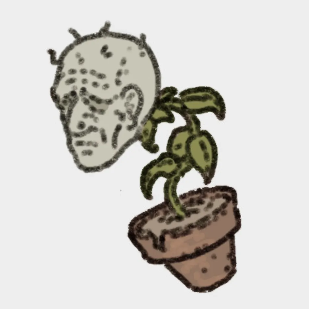 lapidasinnombre.bsky.social's profile picture