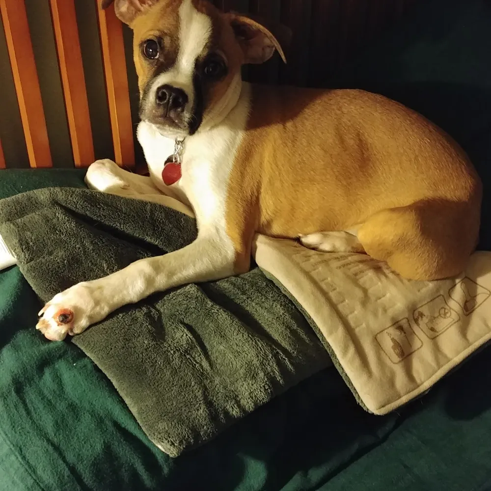 stephenlee49.bsky.social's profile picture