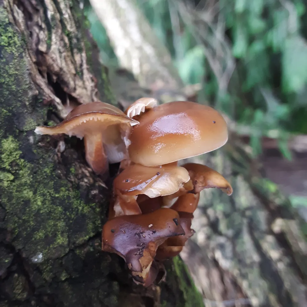 v-franklin-writer.bsky.social's profile picture