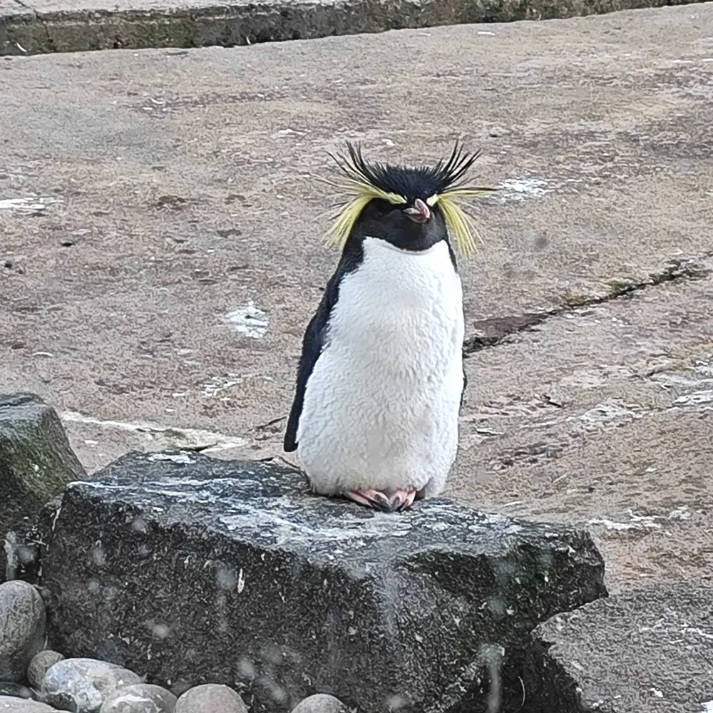 benjoux.bsky.social's profile picture