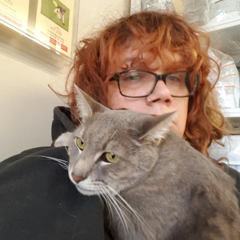 dirtycitybird.trann.ie's profile picture