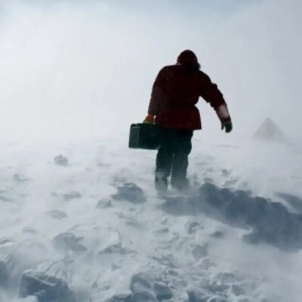 tasvo.bsky.social's profile picture