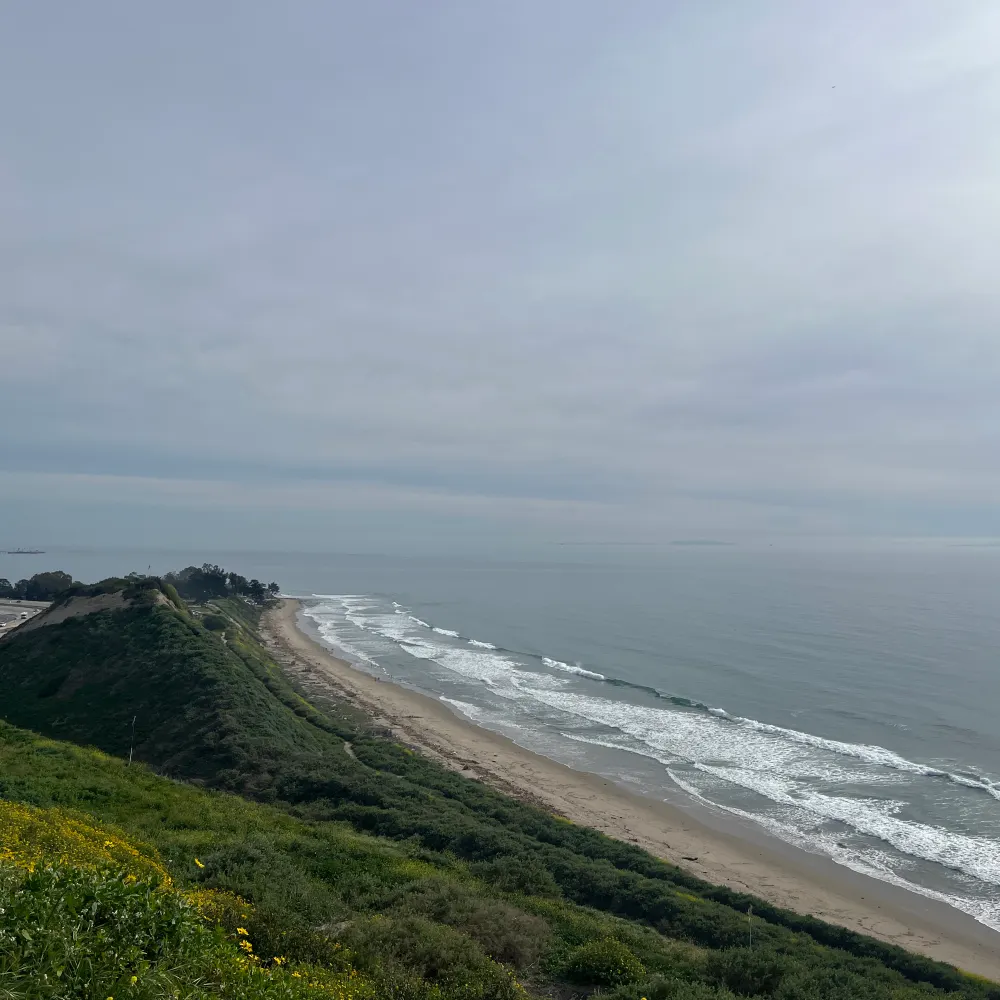 watcheronthehill.bsky.social's profile picture