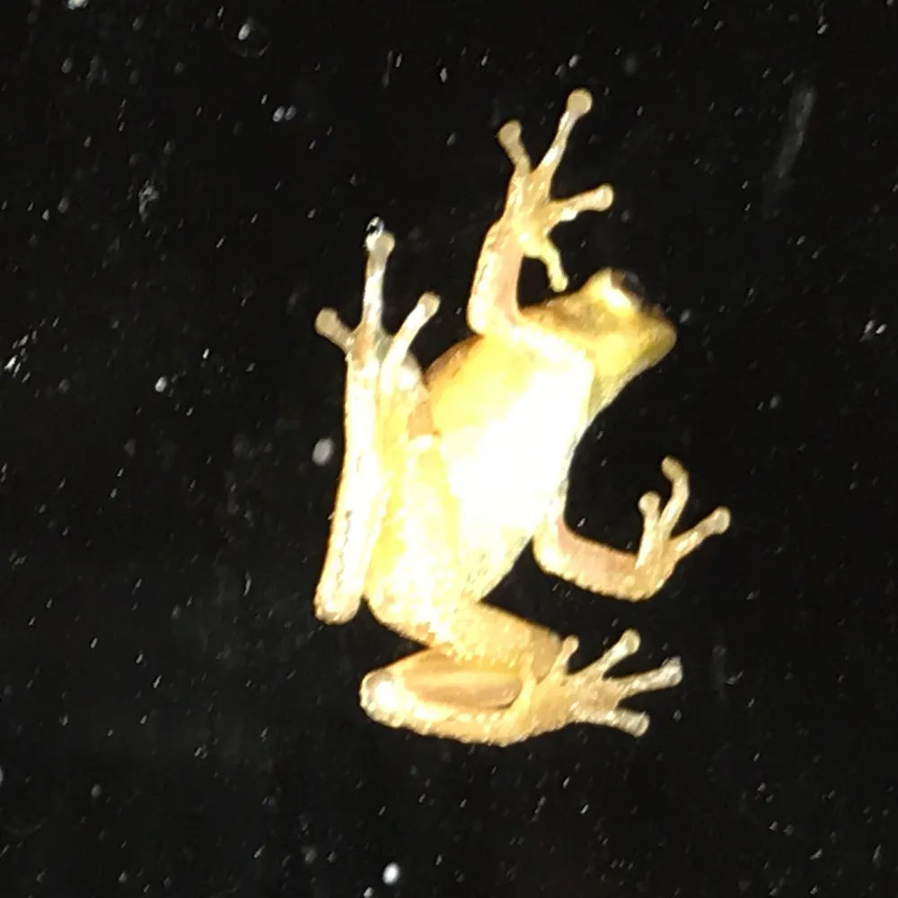 imdumfounded.bsky.social's profile picture