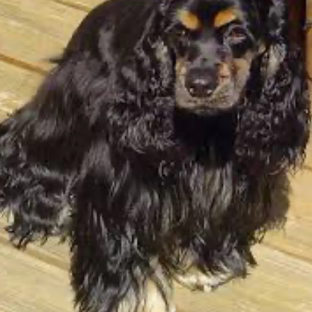 calidaughter.bsky.social's profile picture