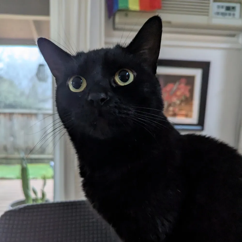 jhwhit.bsky.social's profile picture