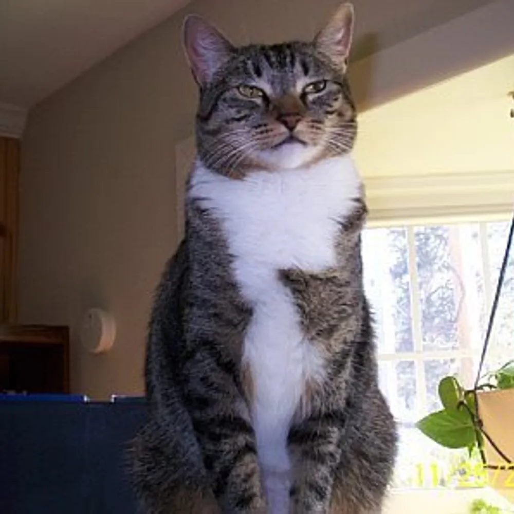 hurricanealice.bsky.social's profile picture