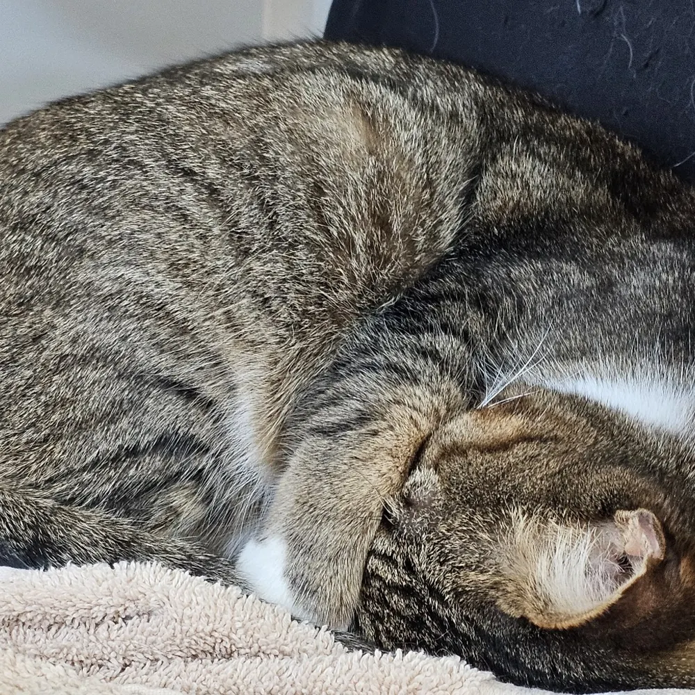 irishknit.bsky.social's profile picture