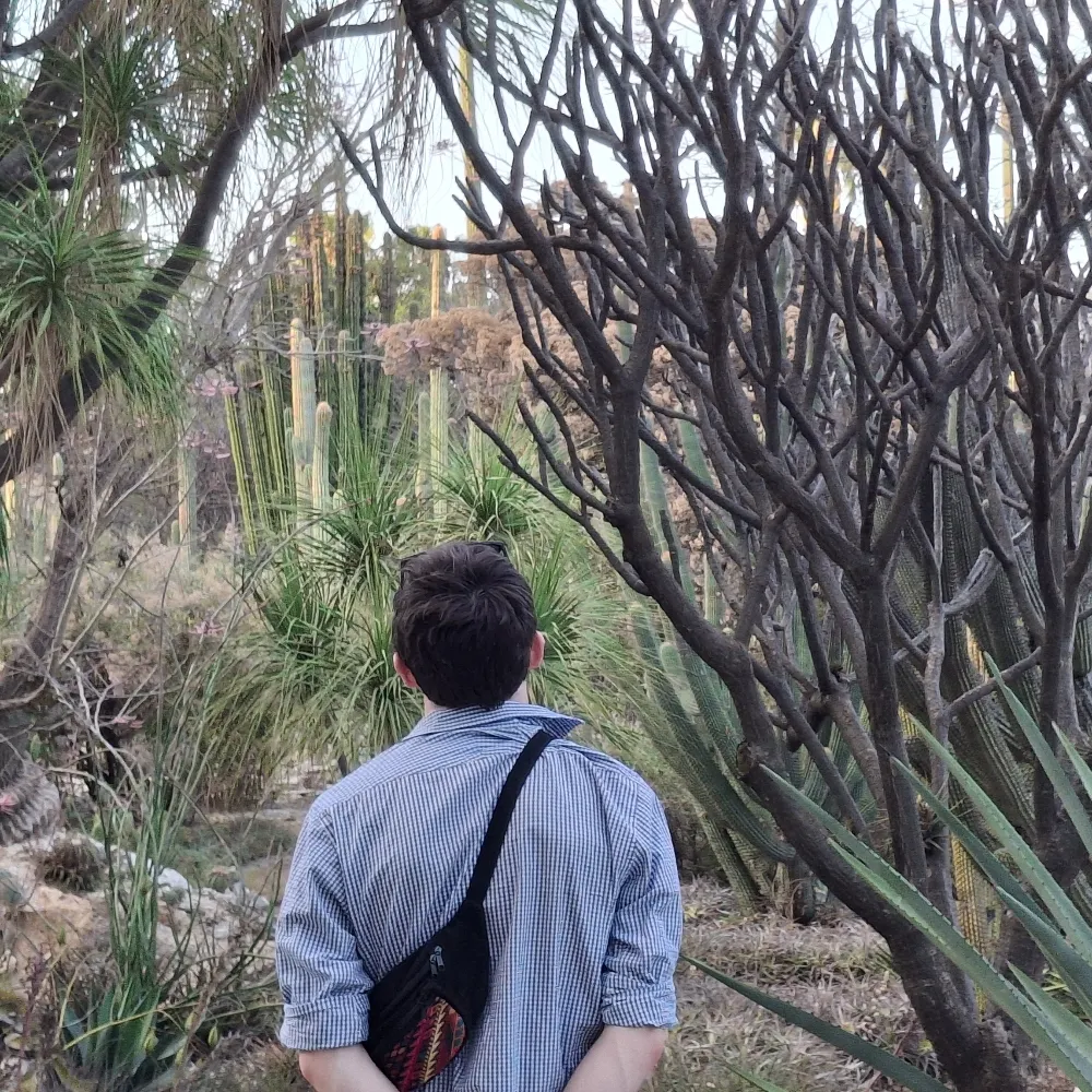 vikingscymru.bsky.social's profile picture