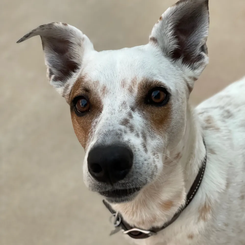 nanners3.bsky.social's profile picture