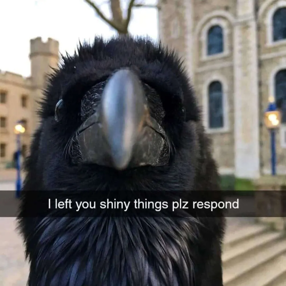 solomonraven.bsky.social's profile picture