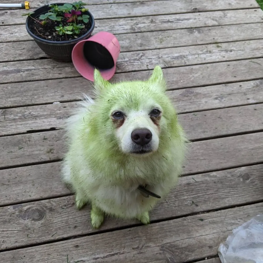 mpborts.bsky.social's profile picture