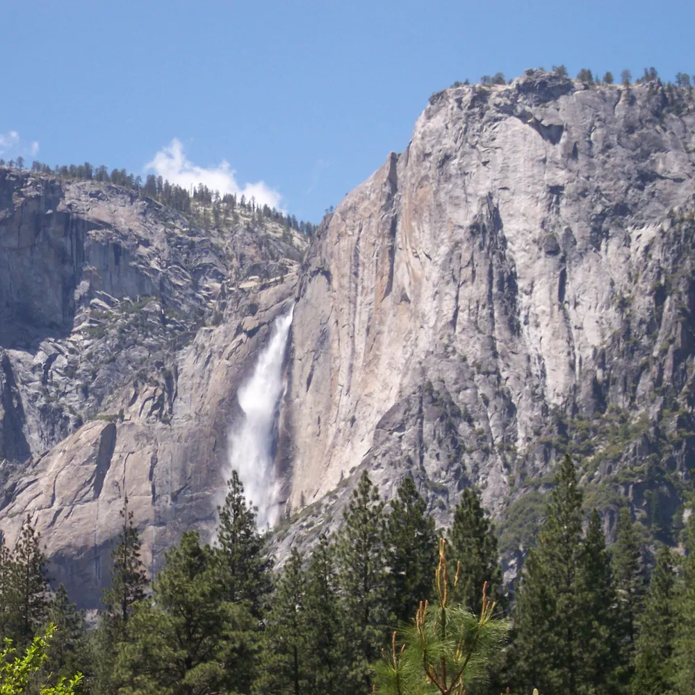 thbransfield.bsky.social's profile picture