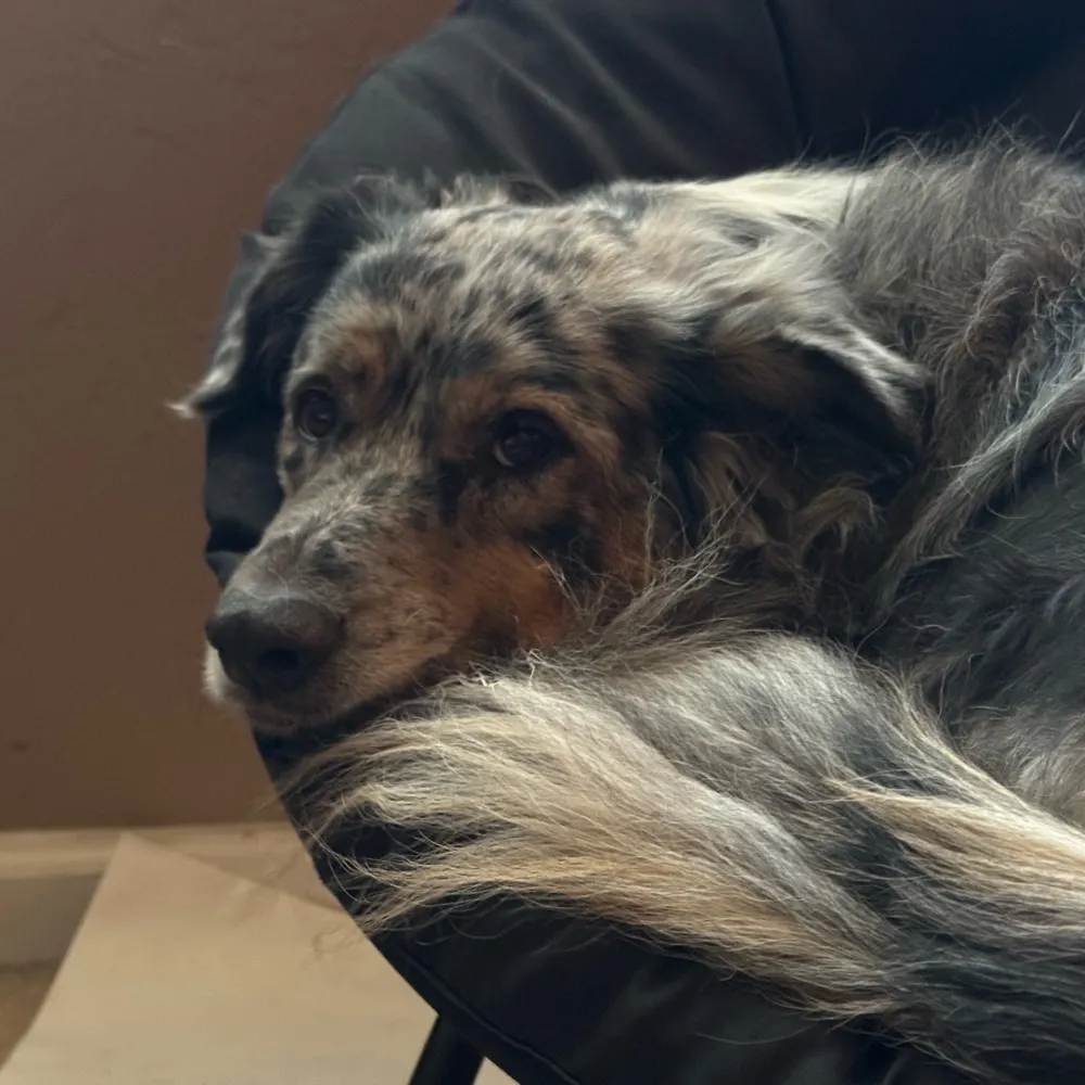 gramathy.bsky.social's profile picture