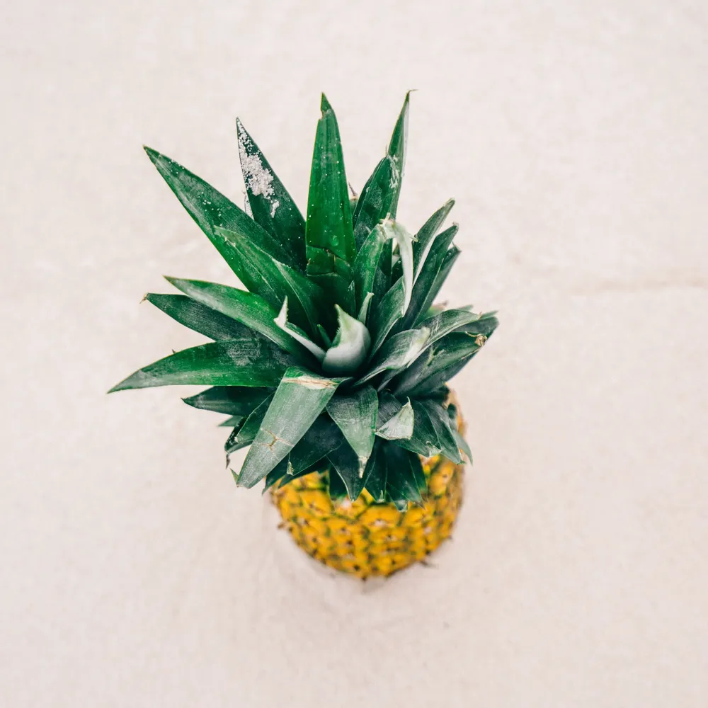 icallaspadeaspade.bsky.social's profile picture