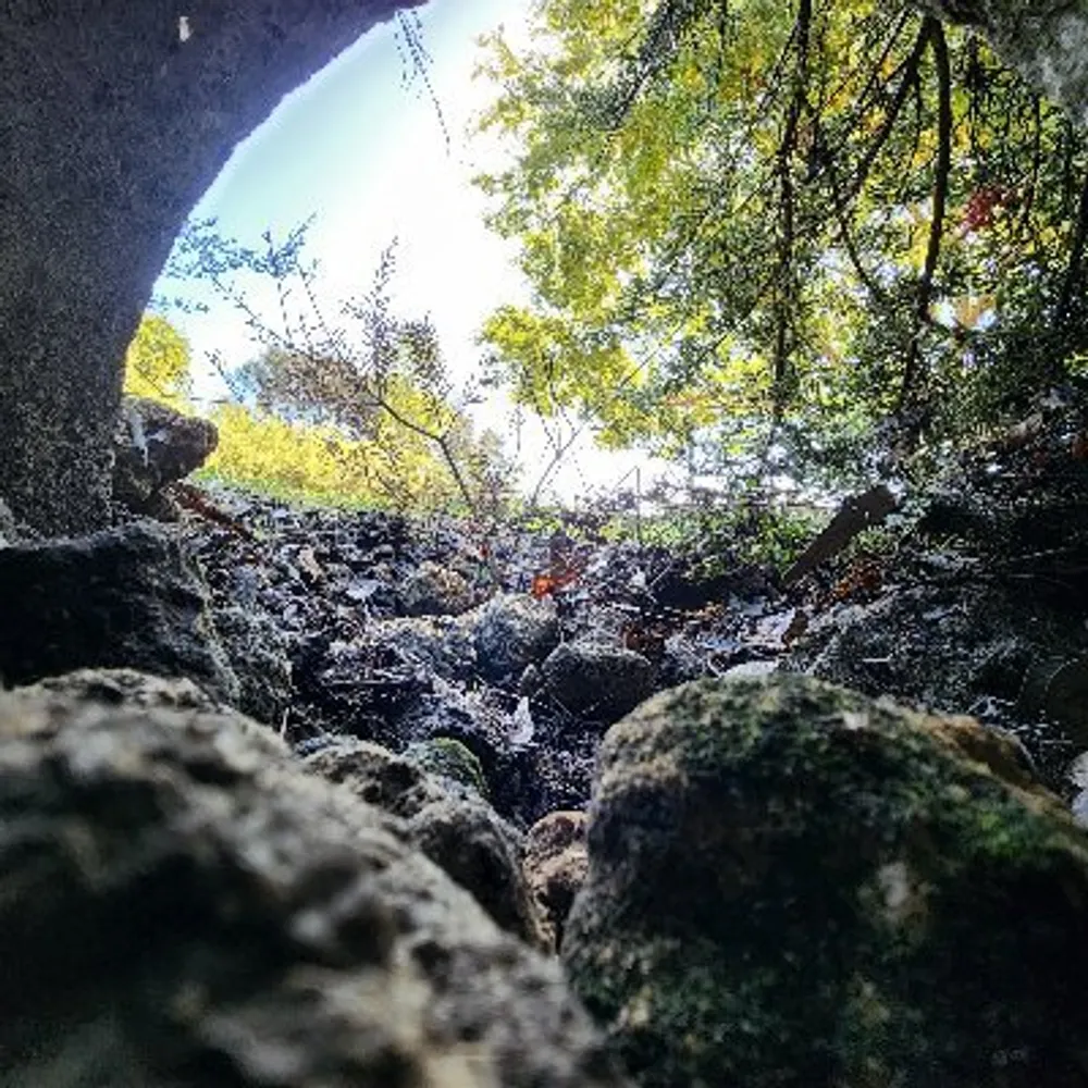 lil-day-dream.bsky.social's profile picture